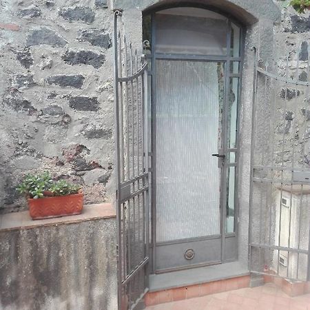 Bouganville Katanya Dış mekan fotoğraf