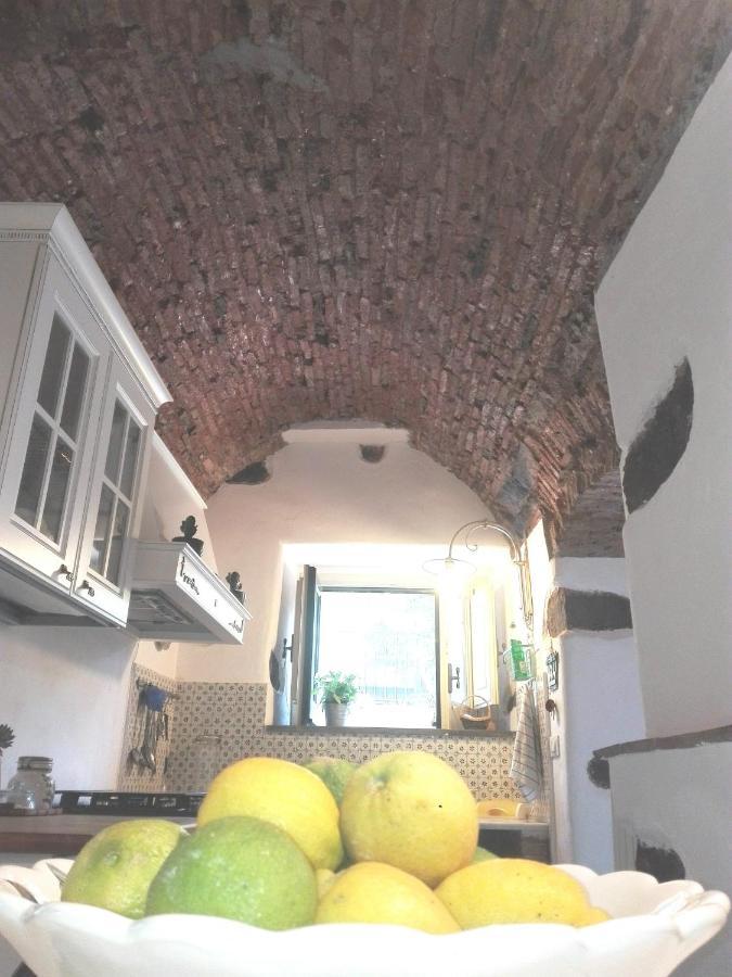 Bouganville Katanya Dış mekan fotoğraf