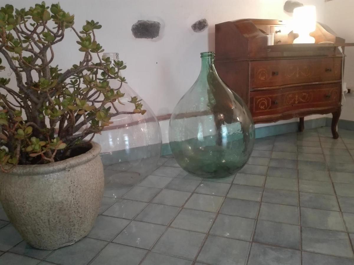 Bouganville Katanya Dış mekan fotoğraf