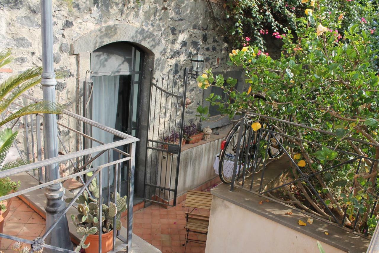 Bouganville Katanya Dış mekan fotoğraf