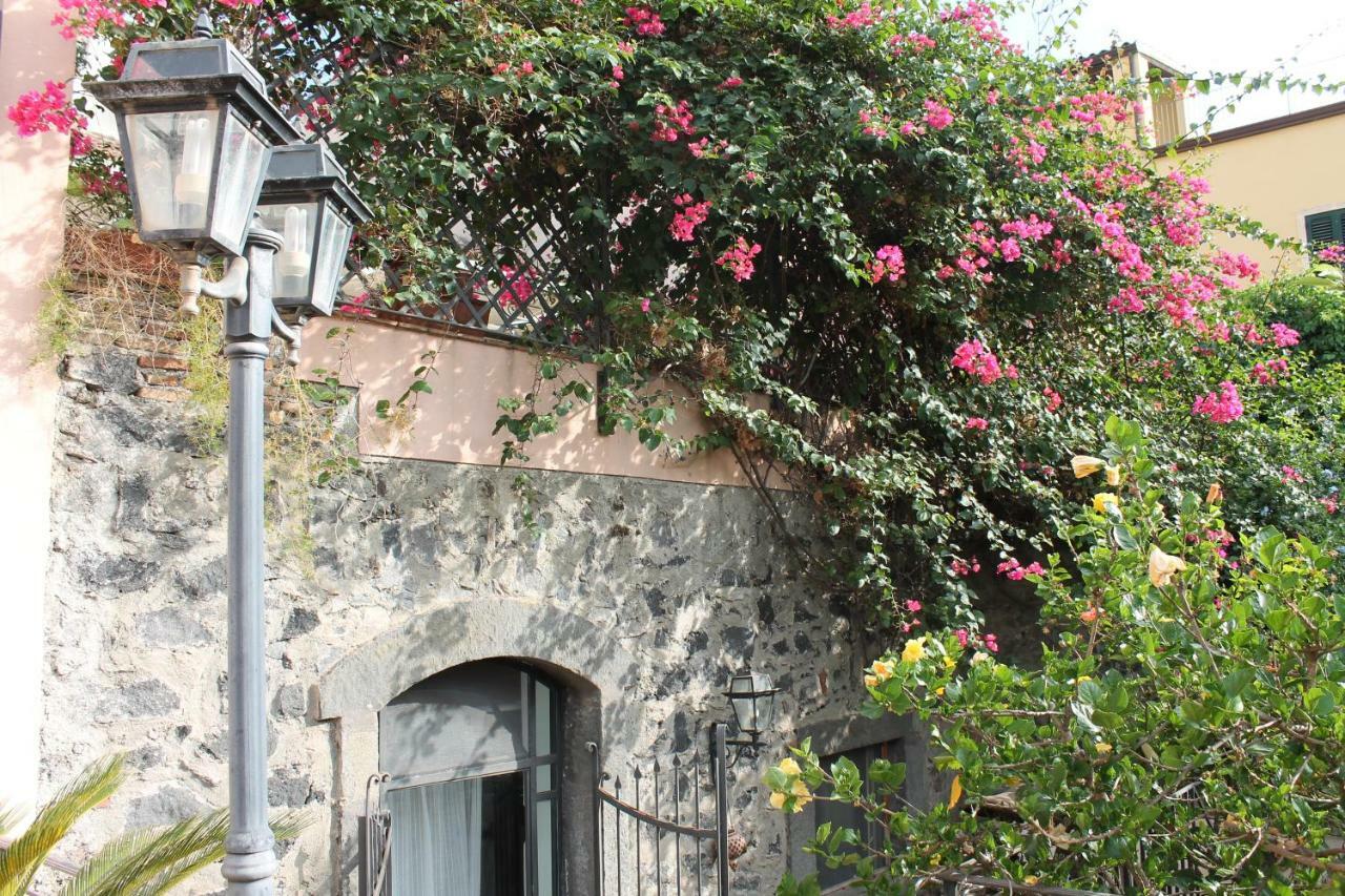 Bouganville Katanya Dış mekan fotoğraf