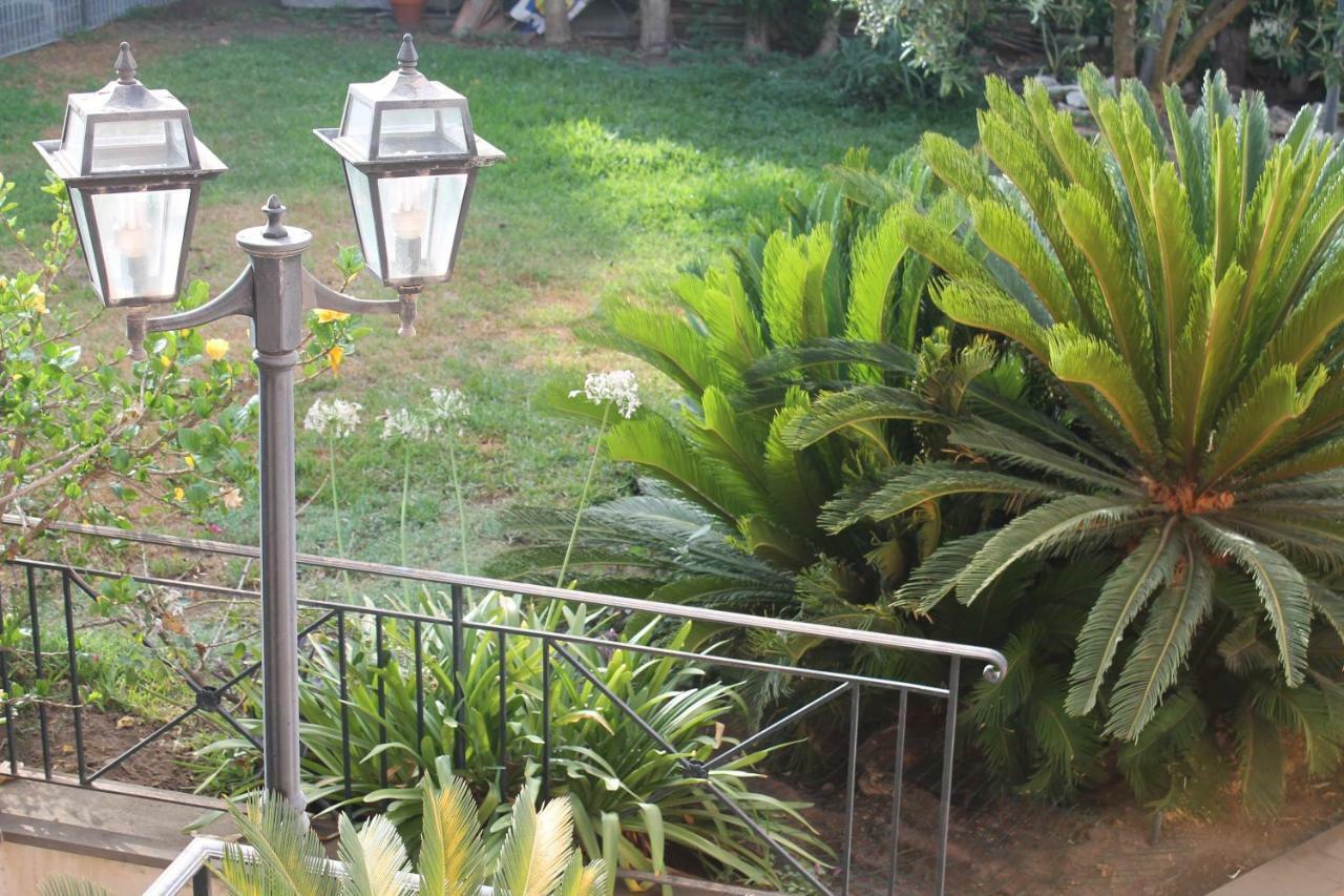 Bouganville Katanya Dış mekan fotoğraf